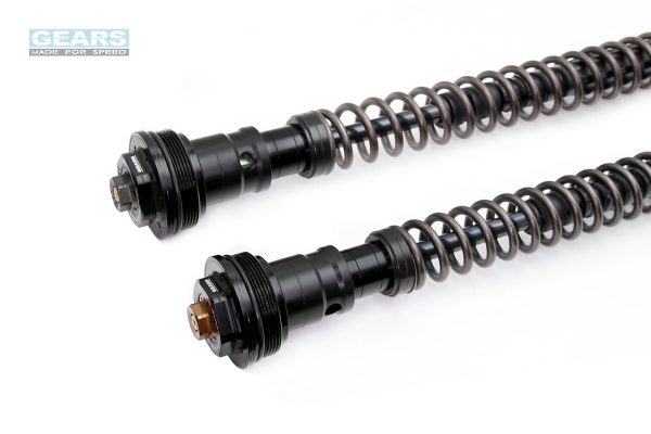 CFMOTO 450SR (23~) 450SR S (24~) Front Fork Cartridge Inverted-Forks ( FFC-250-TT ) Online now