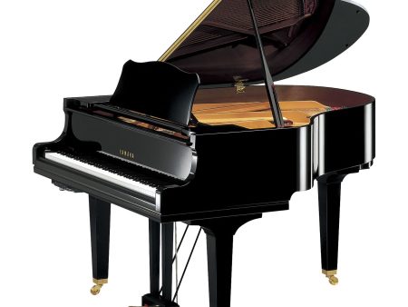 Yamaha GC1TA3 PE (Polished ebony) For Discount