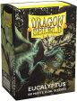 Dragon Shield: Standard Sleeves - Matte Dual Eucalyptus (100ct.) Online Sale